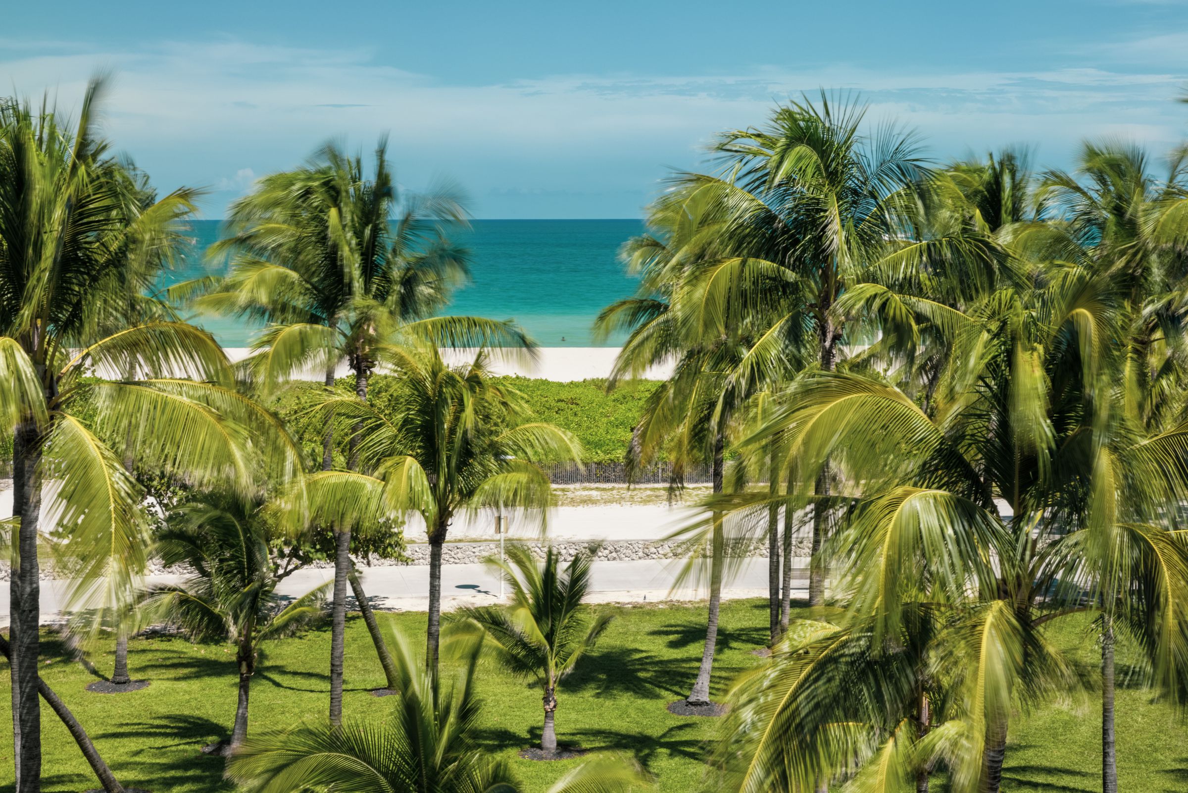Palm trees and gardens in Miami Beach